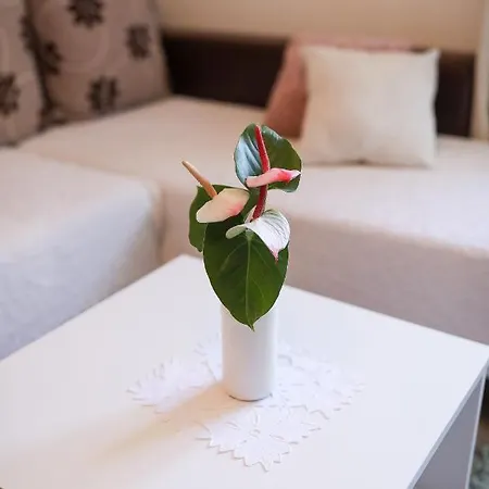 아파트 Rita 자다르