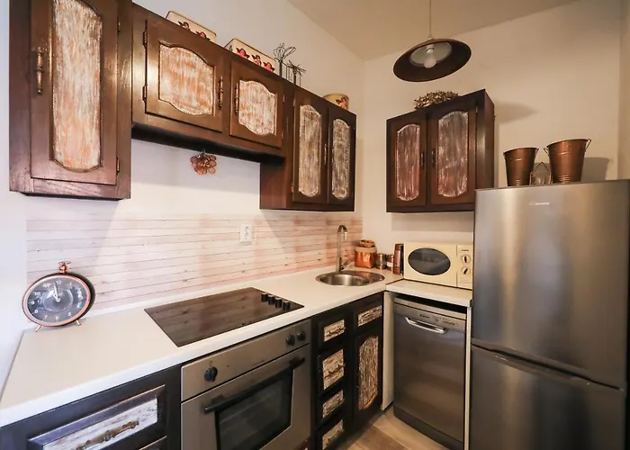 公寓 Rita 扎达尔