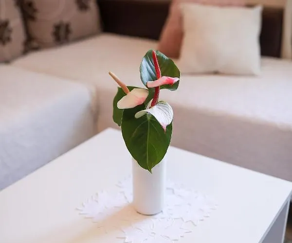 Lejlighed Rita Zadar